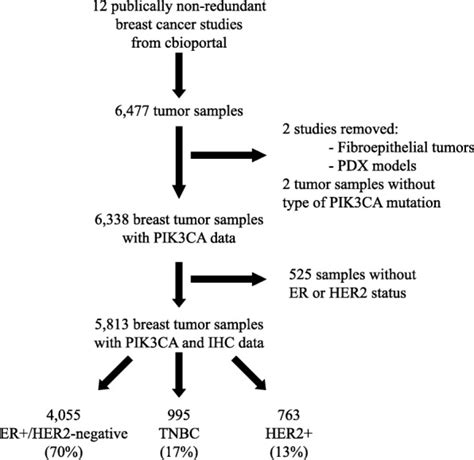 Frequency And Spectrum Of Pik3ca Somatic Mutations In Breast Cancer