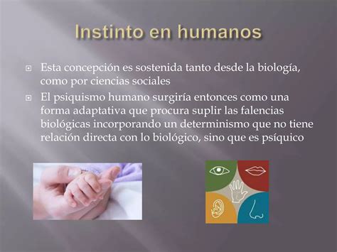 Instinto Sexo Sexualidad Ppt