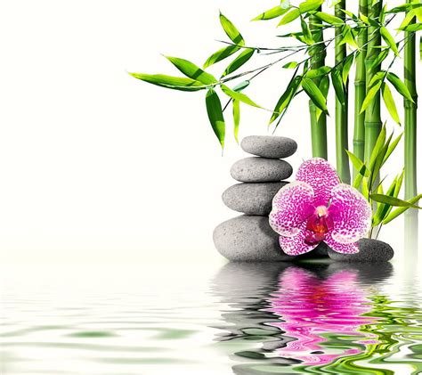 Relaxing Spa Beauty Spa Hd Wallpaper Pxfuel