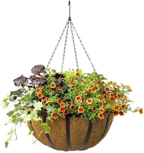 Pride Garden Products Aquasav Oxford Hanging Basket 18 Patio Lawn And Garden