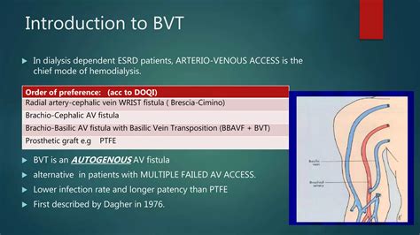 Basilic Vein Transposition By Dr Nipun Bansal Ppt