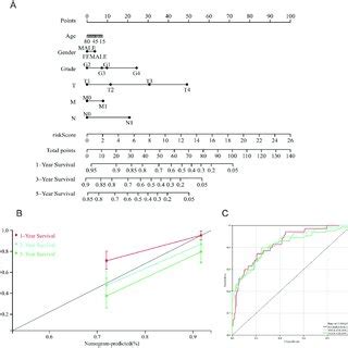 Drawing And Validation Of The Nomogram A 1 3 And 5 Year OS Of