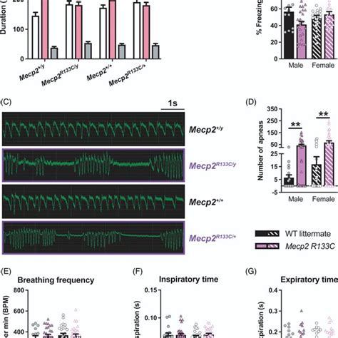 Male And Female Mecp2 R133c Mice Exhibit Differential Phenotypes In Download Scientific Diagram