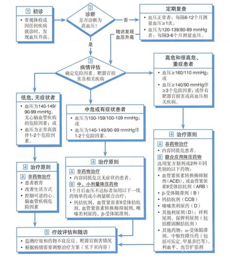 高血压及用药 知乎