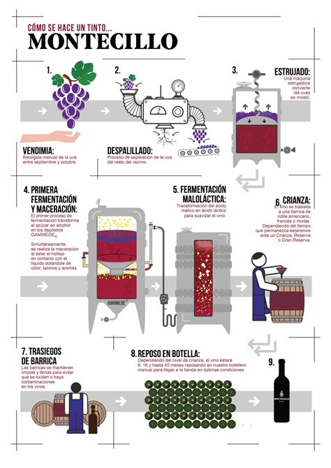 Infograf A Proceso Del Vino Tinto Buscar Con Google Vino Tinto