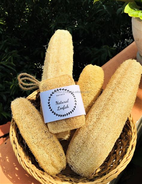 Whole Dried Loofah For Bath Exfoliate Skin From Vietnam Luffa Sponge