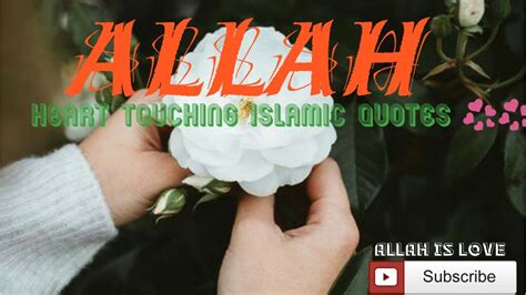 Allahheart 💞touching 💞words💖💞💞🌺🌺 Youtube