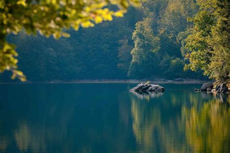 Dramma Nel Lago Scoperto Il Cadavere Di Una Donna Senza Vestiti