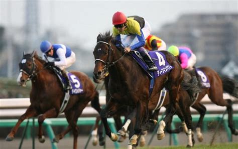 【有馬記念】最後も“飛んだ”ディープインパクト 生涯最高のレース 競馬ニュース Netkeiba