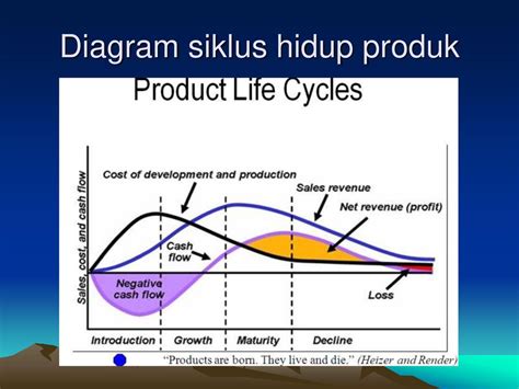 Detail Grafik Siklus Hidup Produk Koleksi Nomer 13