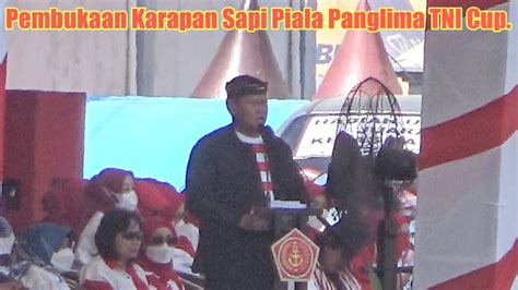 Pembukaan Karapan Sapi Piala Panglima TNI Cup 2023 YouTube