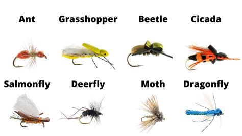 Types Of Fly Fishing Flies - Your Beginner's Guide