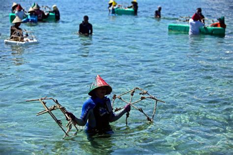 Cerita Foto Rehabilitasi Terumbu Karang Pulau Bontosua SINDO Makassar