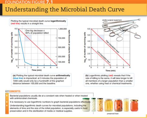 Ch 7 Control Of Microbial Growth Flashcards Quizlet