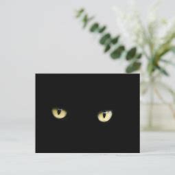 Halloween Black Cat Eyes Postcard | Zazzle