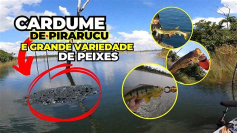 ENCONTRAMOS UM CARDUME DE PIRARUCU MUITO PEIXE NESSE RIO Pescaria