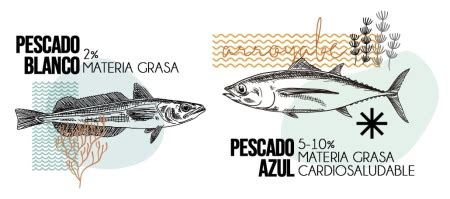 Cu L Es La Diferencia Entre Pescado Azul Y Blanco Arroyabe