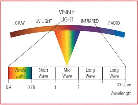 Infrared Thermal Imaging Vs Visible Light Key Differences Liberal