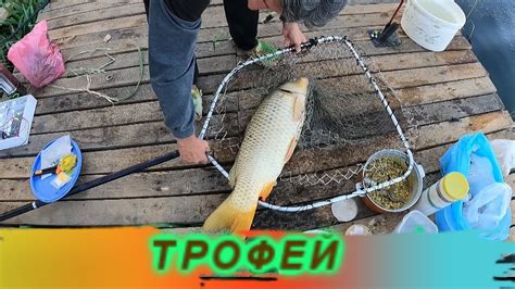 Шикарная рыбалка 13 -14 сентября / Маяки / Днестр - YouTube