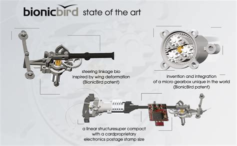 Metafly Upgrade Kit By Bionicbird High Tech Electronic