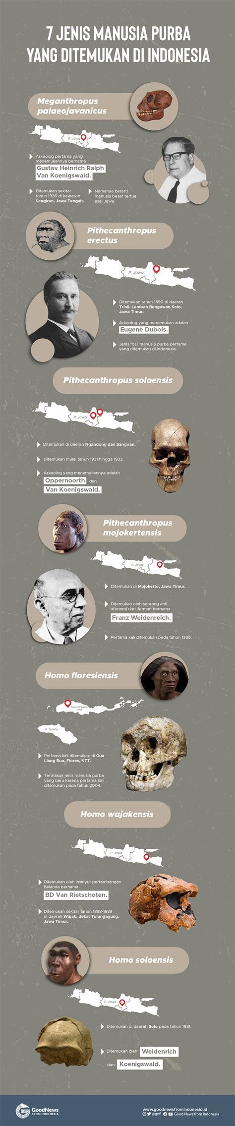 7 Manusia Purba Yang Pernah Ditemukan Di Indonesia
