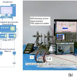 The Experimental System Of Cerebrovascular Autoregulation Monitoring A