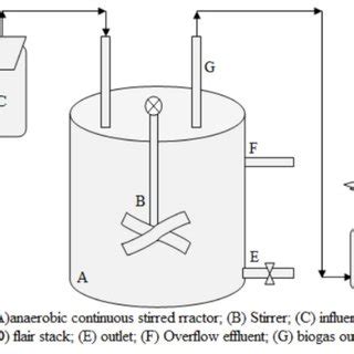 Schematic Diagram Of Anaerobic Continuous Stirred Bioreactor