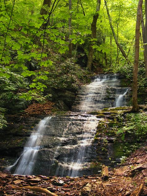 Darmowe Zdj Cia Krajobraz Drzewo Woda Natura Ska A Wodospad