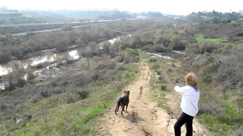 San Luis Rey River Mov Youtube