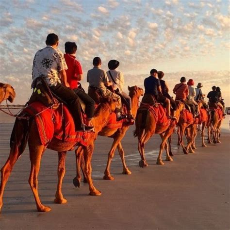 Cable Beach Camel Ride