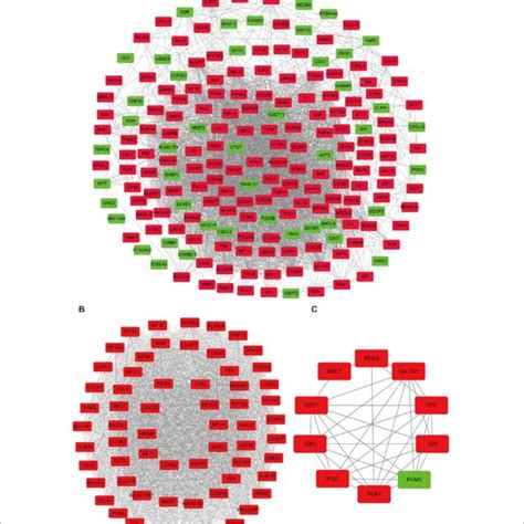 Protein Protein Interaction Network Of Common Degs And Module