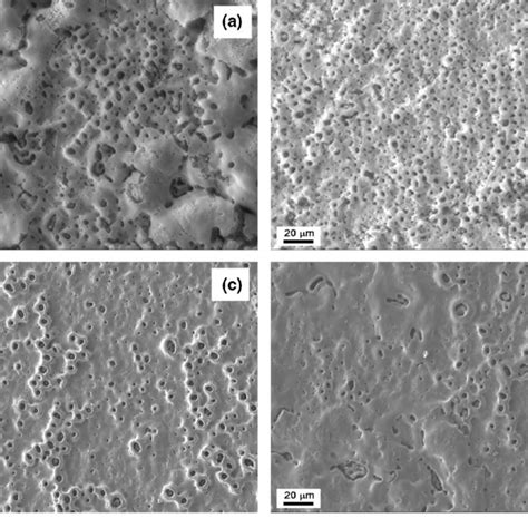 Sem Cross Section Images Of The Peo Coated Samples A Ldlf B Ldhf