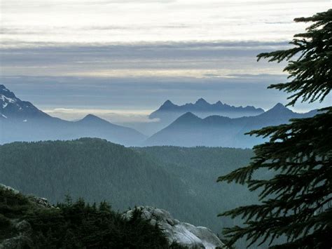 Mountain Flora Coast Ranges Peak