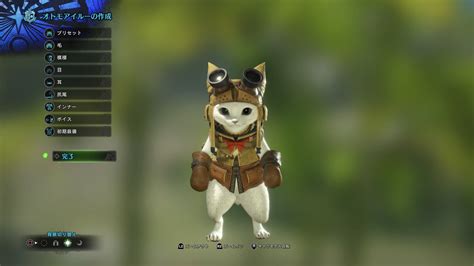 【mhw】キャラクリ要項：オトモアイルー編