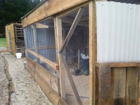 Plan The Best Rabbit Colony Setup Housing Meat Rabbits In A Colony