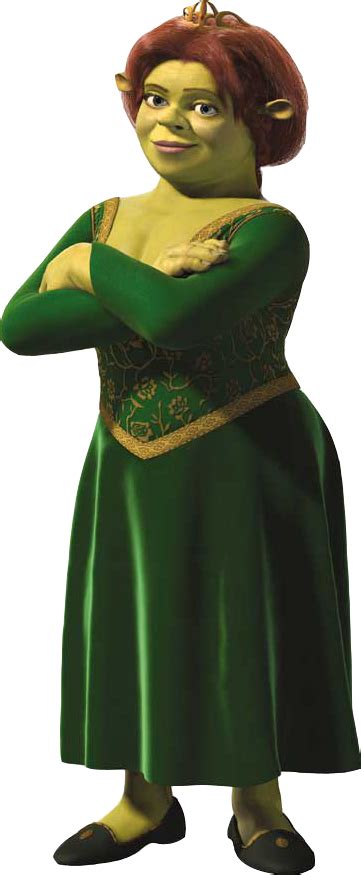 Download Hd Shrek And Fiona Costume Shrek Costume Fiona Shrek