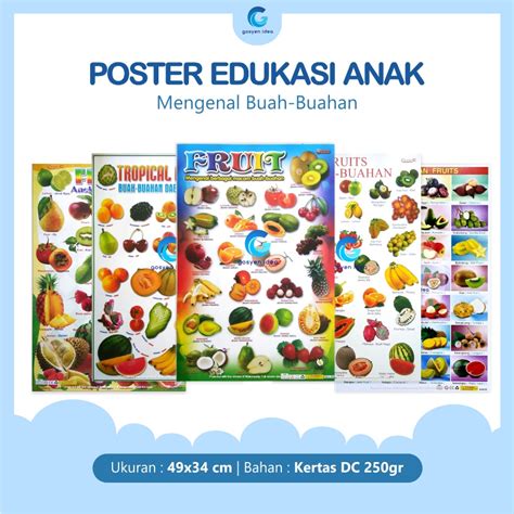 Jual Poster Pendidikan Edukasi Anak Belajar Buah Buahan Fruits Shopee