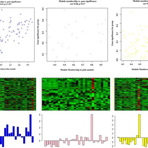 A Heatmap Of Expression Levels Of All Mirnas In Key Modules B Download Scientific Diagram