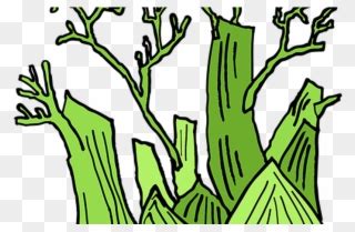 Decomposer Drawing Plant Clipart Pinclipart