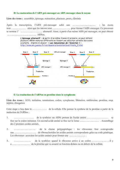 Expression stabilité et variation du patrimoine génétique Cours