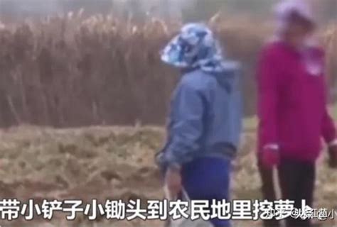 老人屡屡组团偷菜是中了网络游戏的毒么家中子女也应该出手管管 知乎