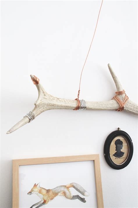 How To Clean And Display Antler Sheds Idle Hands Awake Antler Crafts