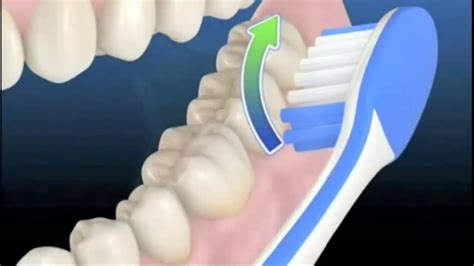 T Cnica Correcta De Cepillado Dental Youtube