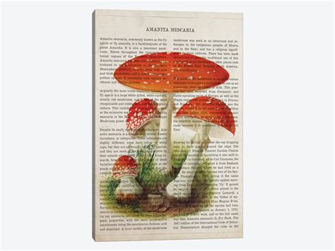 Mushroom Amanita Muscaria Art Print By Aged Pixel Icanvas