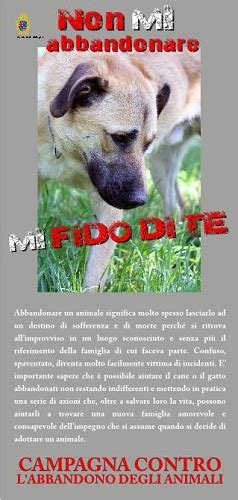 Non Mi Abbandonare Mi Fido Di Te La Campagna Contro L