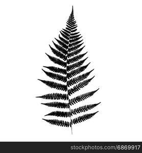 Fern leaf silhouette. Vector illustration — Stockphotos.com