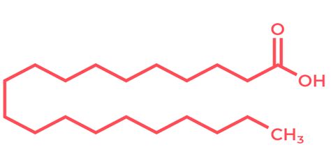 Arachidic Acid Metabolon