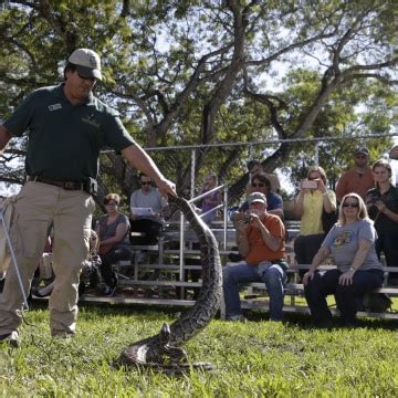 Snake Hunters Descend on Florida Everglades for Python-Killing ...