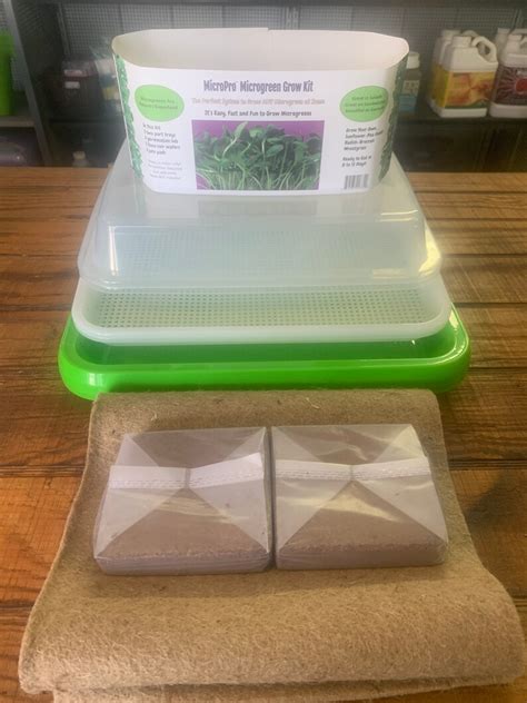 Microgreen Growing Kit - Etsy