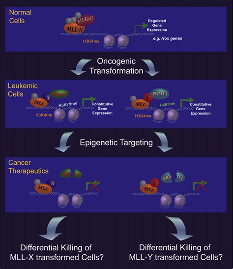 Figure 1 From Reconstructing The Disease Model And Epigenetic Networks